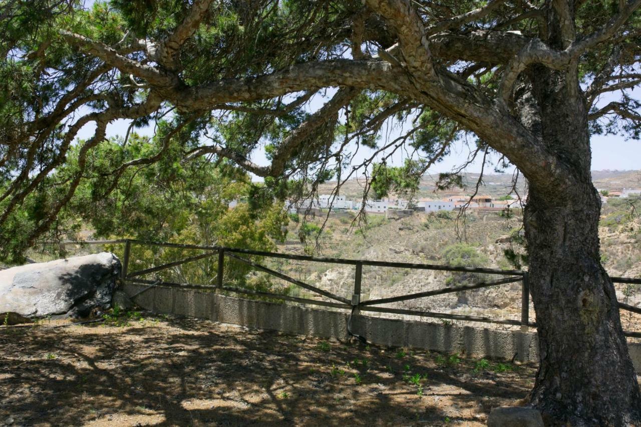 La Malvasia Arico Viejo Exteriér fotografie